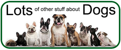 Carole's Doggie World stuff